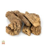 Banisteriopsis Caapi - White Caapi, Whole White Ayahuasca Vine from the Shipibo-Conibo, Peru