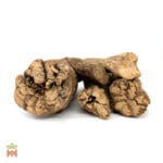 Banisteriopsis Caapi - White Caapi, Whole White Ayahuasca Vine from the Shipibo-Conibo, Peru