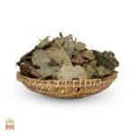 0009-4323 – Diplopterys cabrerana – Ecuador, Napo, leaves, whole_B Chaliponga (Diplopterys Cabrerana) - Whole Leaves from Napo, Ecuador