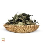 Salvia Divinorum - Whole Leaves from Oaxaca Mexico