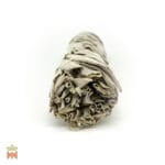 White Sage (Salvia Apiana) - Leaves in Large Smudge Bundle, from Oregon, United States