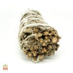 0251-4319 – Salvia apiana – Oregon, leaves, bundle, small_B White Sage (Salvia Apiana) - Leaves in Small Smudge Bundle, from Oregon, United States