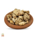 0282-0489 – Protium paniculatum – Copal Black, resin_B