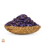 0295-2231 – Nymphaea caerulea – flowers cut_B