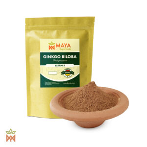 Extracto de Ginkgo Biloba (Ginkgoaceae) - Extracto seco de China