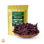 Loto rojo (Nymphaea rubra) – Flor completa procedente de Sri Lanka